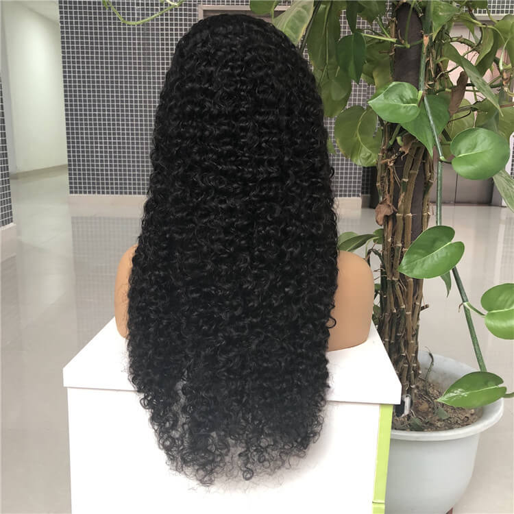 HD Lace Curly Wave Wig
